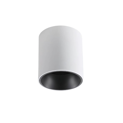 Taya Surface Mount Light